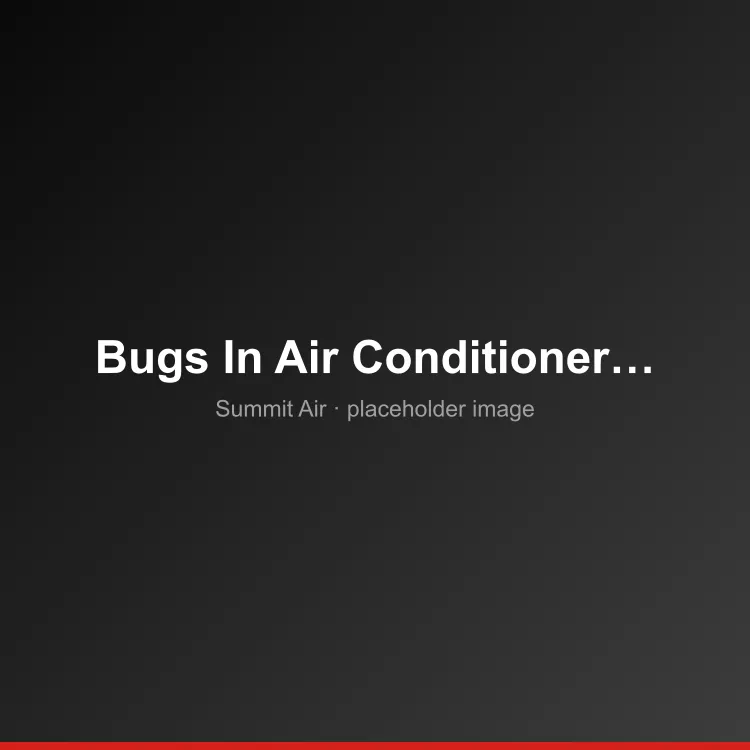 Tips To Keep Bugs Out of Your Air Conditioner